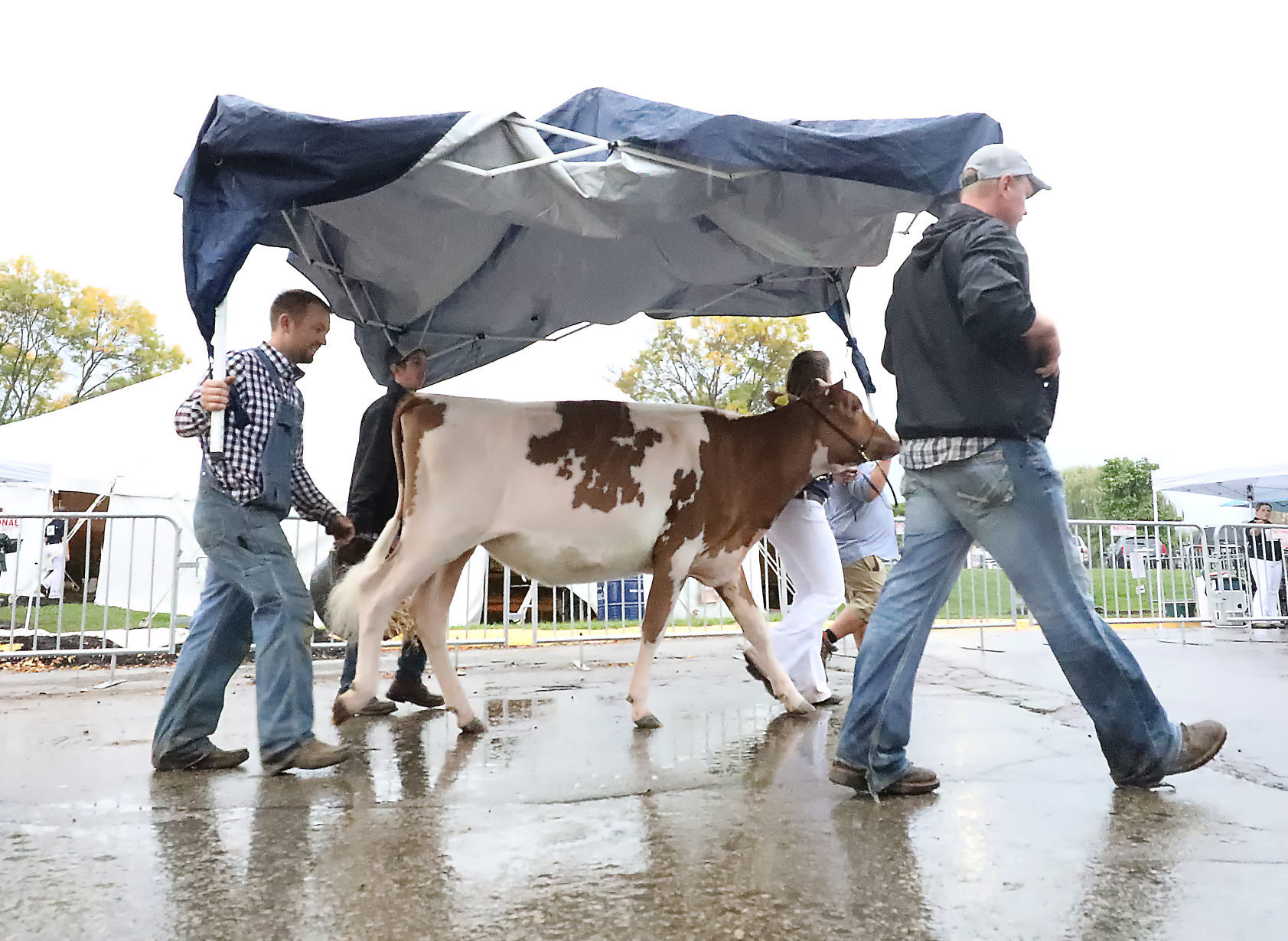 World Dairy Expo - Jump